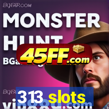 313 slots